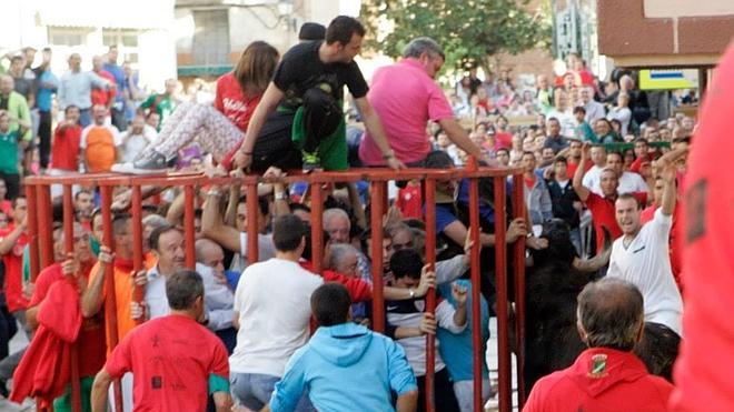 Hospitalizado un mozo tras recibir cuatro pinchazos en el toro ensogado de Rincón de Soto