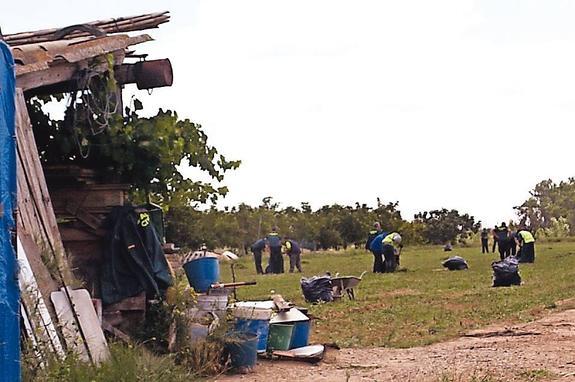 Guardia Civil y Policía han localizado casi 25.000 plantas de marihuana este año