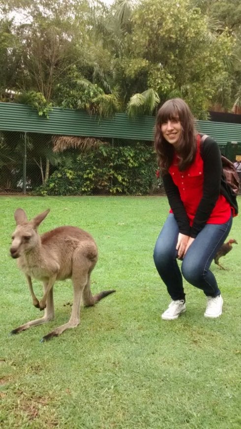 Entre koalas y canguros en Brisbane