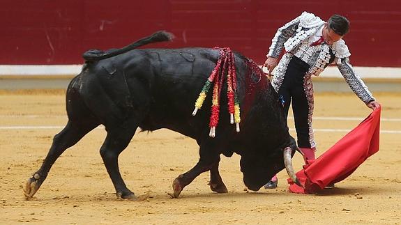 Una intensa temporada taurina