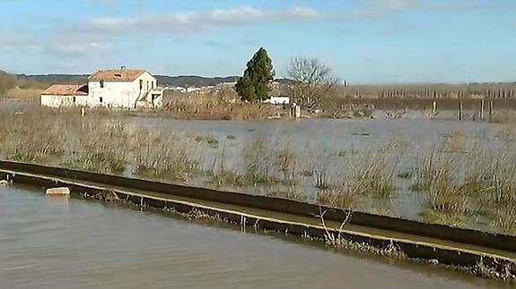 A la espera de ayudas y soluciones