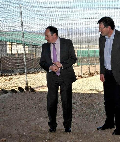 La Rioja ejecuta un programa de cría de perdiz genéticamente pura para cotos
