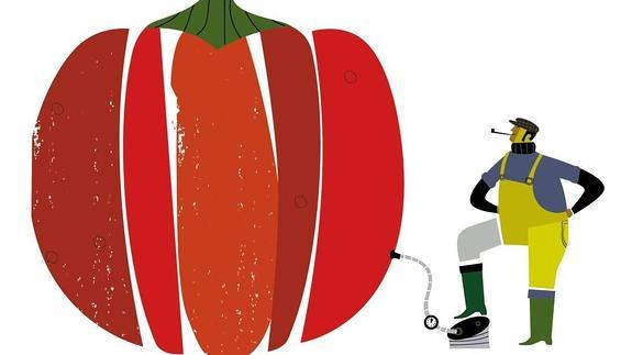 Amigos de la Tierra pide una Rioja libre de plantaciones transgénicas