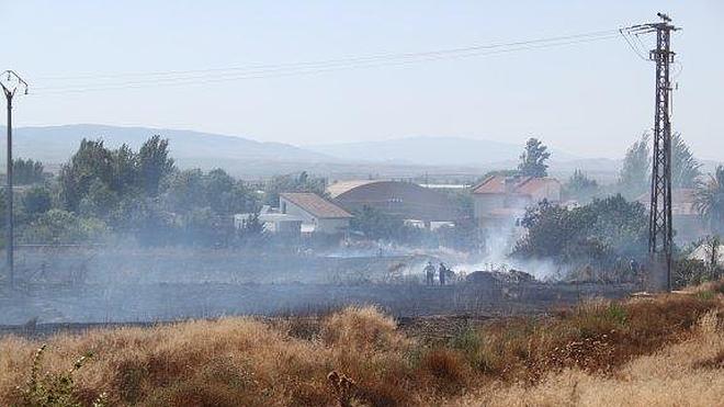 Alfaro llama a limpiar los solares para evitar incendios