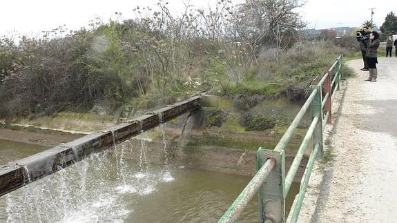 Hallan muerto a un hombre en el Canal de Lodosa