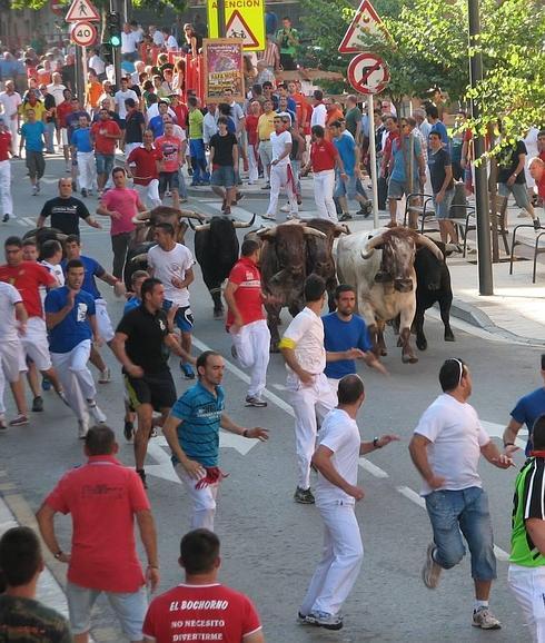Tres encierros de toros para las fiestas de Alfaro