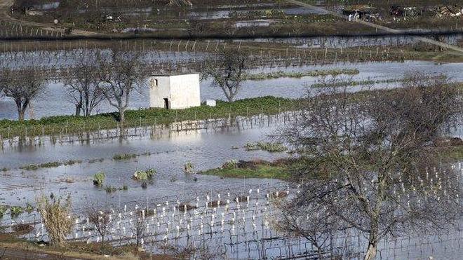 La CHE concluye 30 obras de emergencia en el tramo riojano del Ebro por valor de 2,2 millones