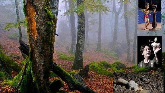 El bosque mágico de Sierra Cebollera