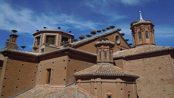 Reubican 45 nidos de cigüeña para no dañar la colegiata de Alfaro