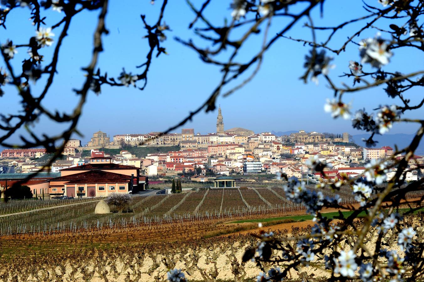 Vivanco abrirá sus puertas estas navidades con actividades para todos los públicos