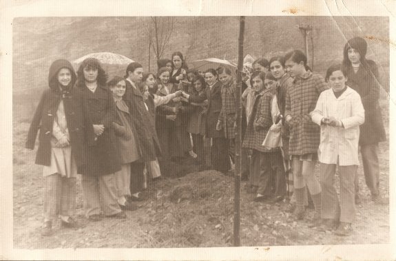 Cerveranas durante el Día del Árbol
