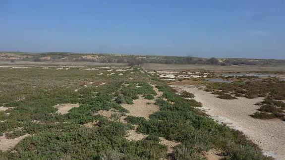 Un espacio más natural