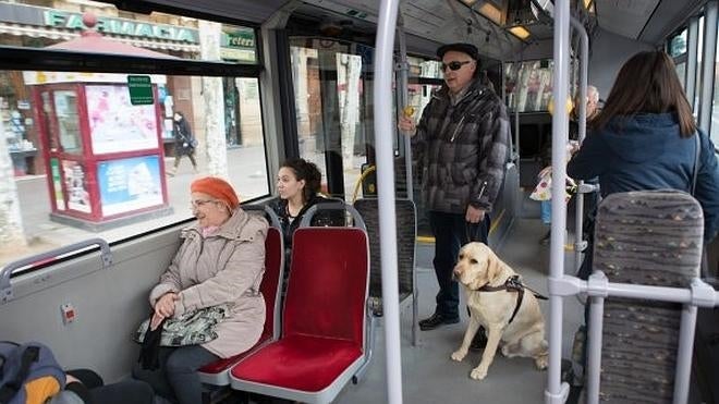 El Consistorio prepara una norma que permita a los perros viajar en autobús