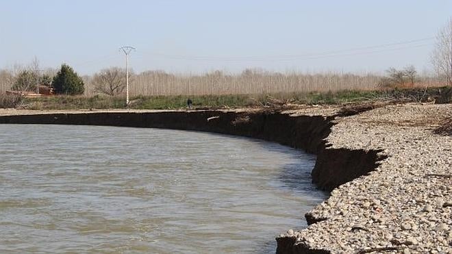 Amigos de la Tierra ve «inútil» lña obra en los sotos del Ebro