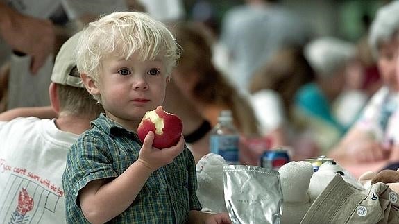 Almuerzos saludables en los colegios