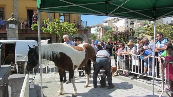 Mercado de ganado en Soto