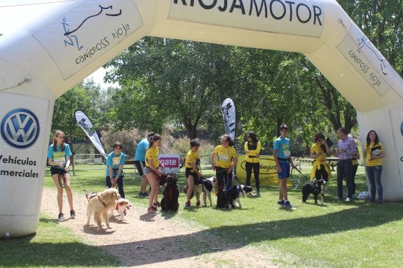 Carreras a cara de perro