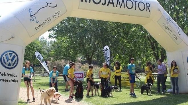 Carreras a cara de perro