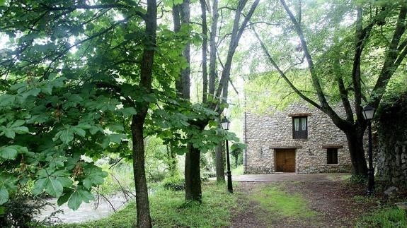 Agua, creatividad y hábitos saludables