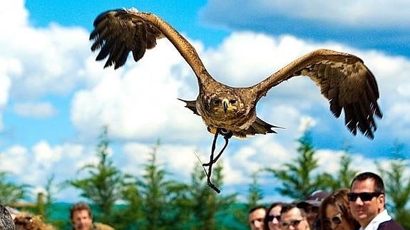 Un Día de La Rioja entre rapaces