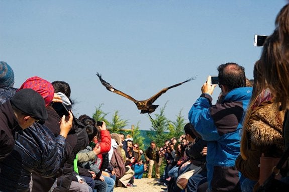 Tierra Rapaz: nacida para volar