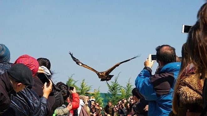 Tierra Rapaz: nacida para volar