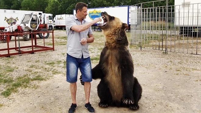 «O hago circo sin animales o sigo con ellos y me muero de hambre»