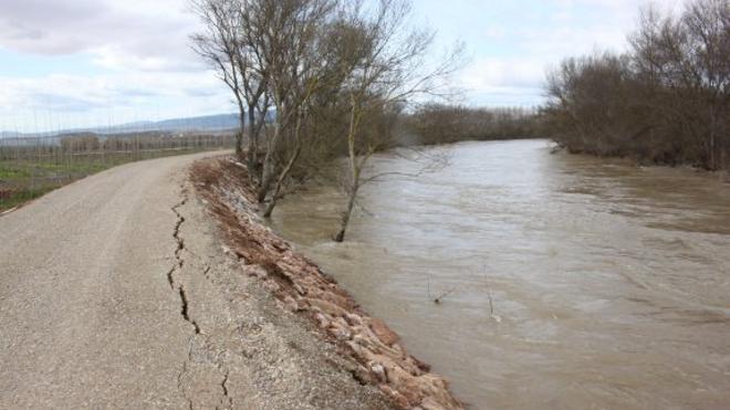 El Gobierno central destina 1,5 millones a Alfaro, Cabañas y Pina de Ebro por las crecidas