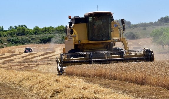 Las enfermedades y el bajo precio ponen en jaque al sector cerealista riojano