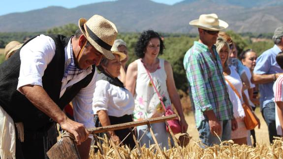 Cientos de visitantes disfrutan de la tradición agrícola en la Molienda de Ocón