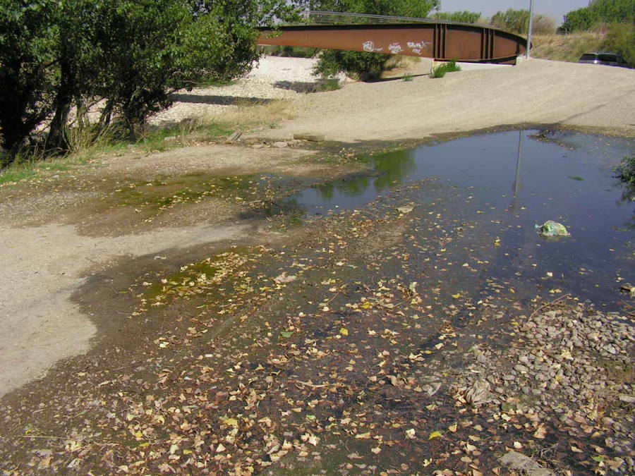 El Grupo Socialista critica la pérdida de zona verde en el Parque del Cidacos de Calahorra
