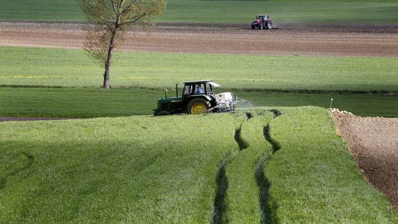 La productividad del sector agrario en La Rioja se ha incrementado en un 27 por ciento