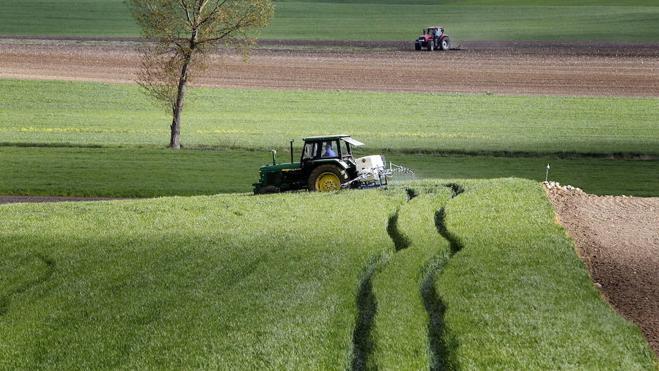 La productividad del sector agrario en La Rioja se ha incrementado en un 27 por ciento