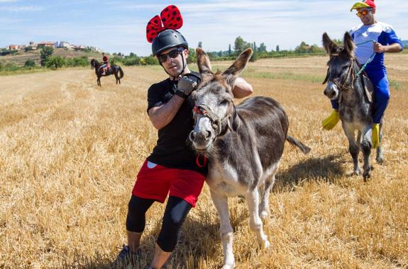 Los animalistas contra las carreras: Tricio se queda sin 'forasteros'