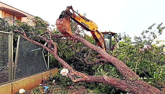 Un mal aire azota la Rioja Baja