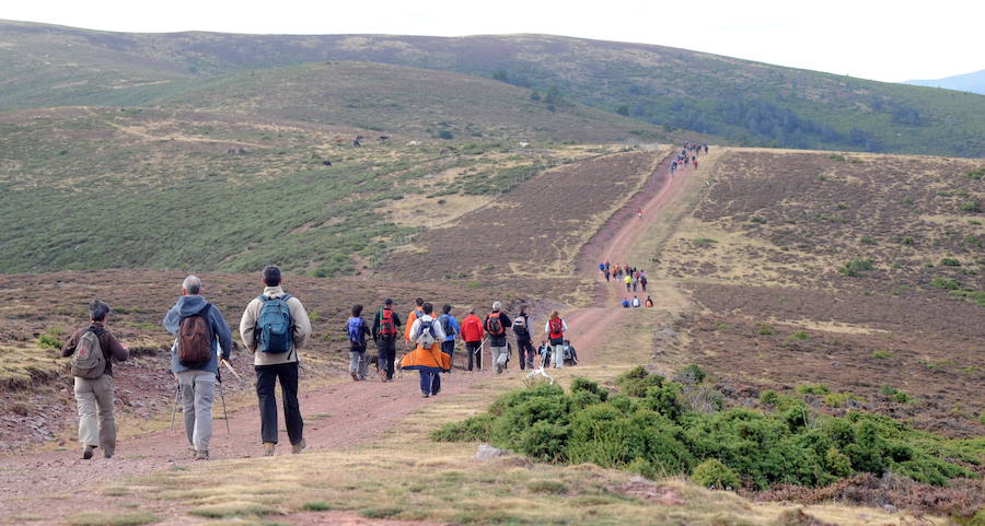 La Marcha Hoyos de Iregua se realizará el 2 de octubre sobre un recorrido de 30 kilómetros