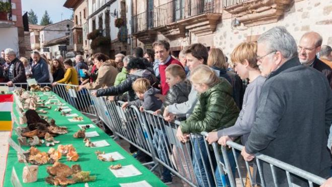 Las jornadas micológicas de Ezcaray contarán con Juan Echanove, Chicote y Adúriz