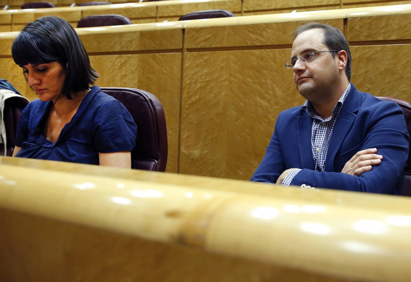 Luena acatará la abstención si el Comité Federal del PSOE lo decide