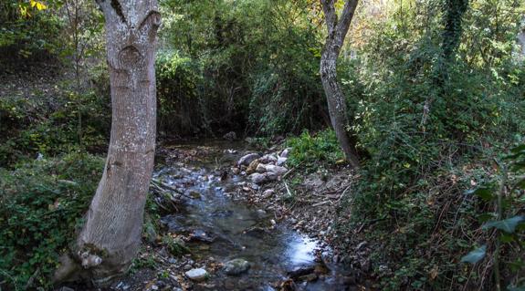 El paisaje muda de piel en La Rioja