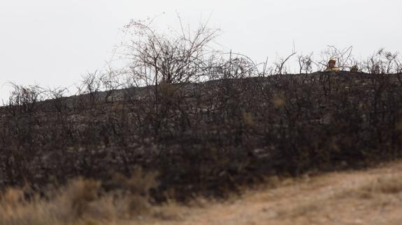 Sofocado un incendio en el término de Ribafrecha