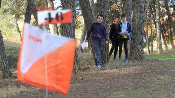 Orientación entre los pinares
