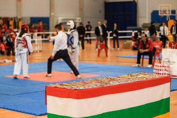 El Adarraga acoge el taekwondo