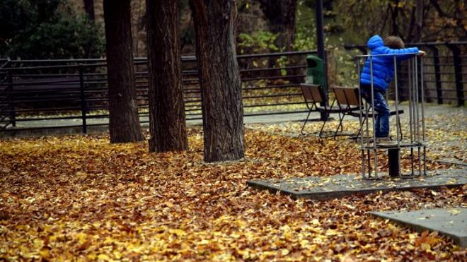 La naturaleza en la ciudad