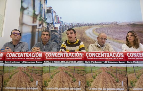 COAG calcula que 16 particulares se repartirán 120 hectáreas de viñedo
