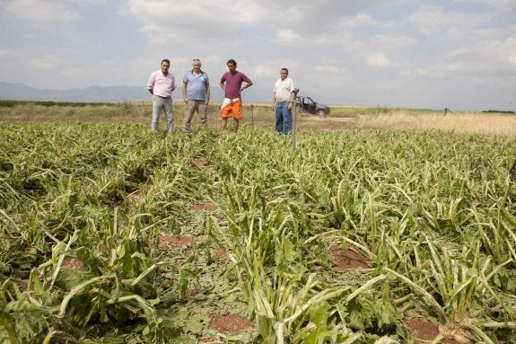 Los agricultores riojanos dedicaron 7,7 millones de euros a seguros en el 2016