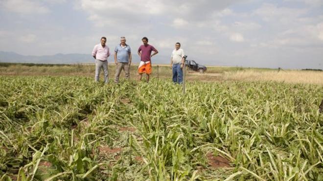 Los agricultores riojanos dedicaron 7,7 millones de euros a seguros en el 2016