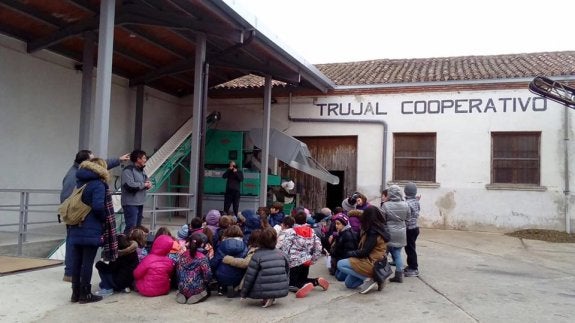 Alumnos del CEIP Escultor Vicente Ochoa visitan el trujal de Tudelilla