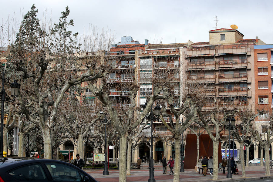 Andestaba: ...y colgaron sus nidos en Muro de la Mata