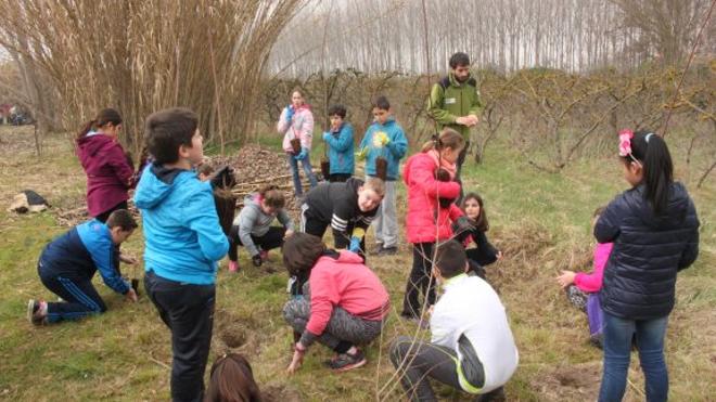 Los escolares participan en el programa 'Regeneramos los sotos'