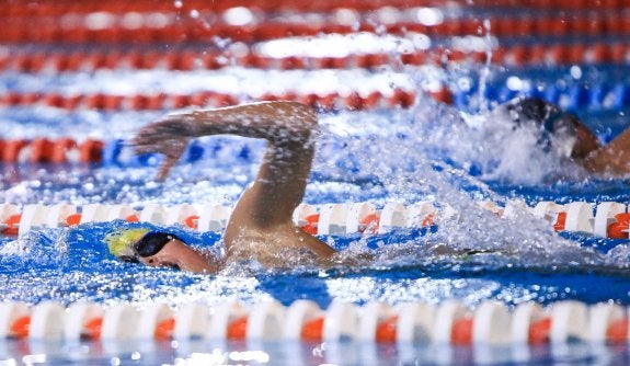 La natación convoca a todas sus categorías